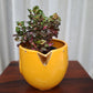 CERAMIC YELLOW SMALL BIRD PLANTER