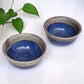 CERAMIC NUTS /VEGETABLE BOWL (SET OF 2)